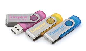 USB 2GB Kingston